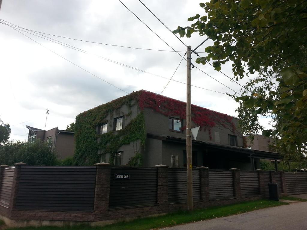 Eha Suija Home Accommodation Ταρτού Εξωτερικό φωτογραφία